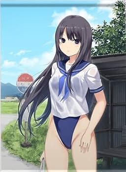 珈琲貴族　白峰莉花　「白峰さん スク水」　キャンバスアート・額装 珈琲貴族 白峰莉花 「白峰さん スク水」 キャンバスアート・額装